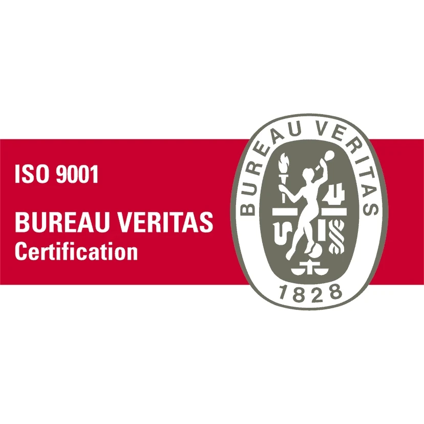 Bureau Veritas ISO 9001 Logo